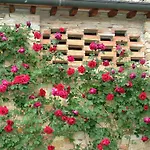 Gemuetliche Blaue Mit Garten By Interhome Apartment
