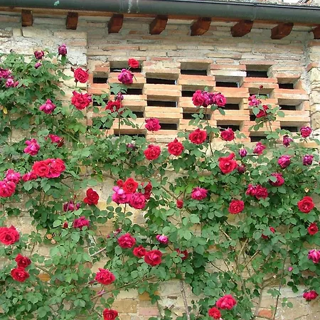 Gemuetliche Blaue Mit Garten By Interhome Διαμέρισμα